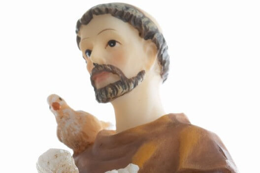 The Message of St. Francis of Assisi