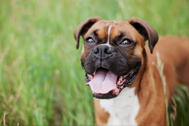 What To Expect When Dating A Phlegmatic