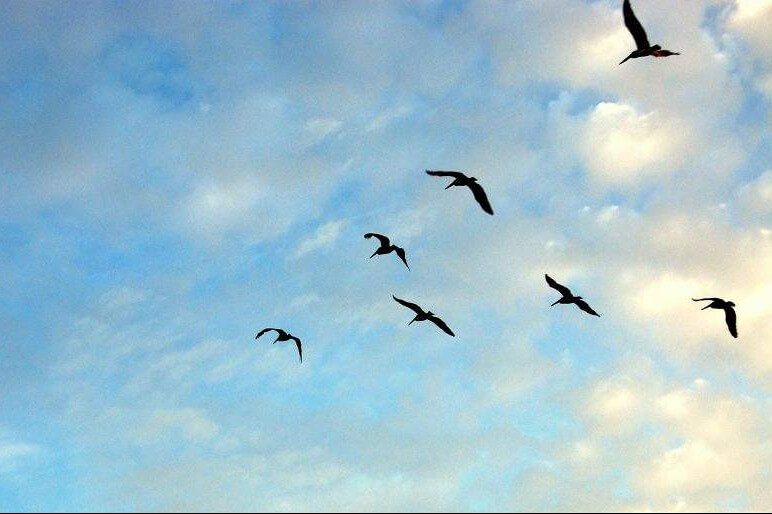 Surrender to God's Will Opened Up a New Horizon