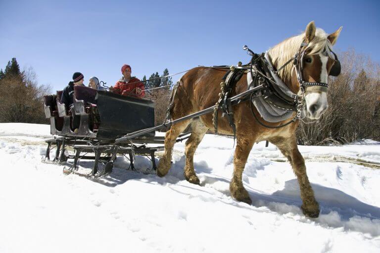 6 Tips to Beating Winter Blues