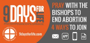 usccb-9-day-web-500x240