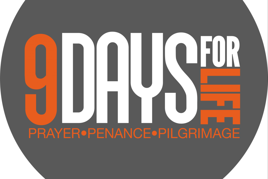 What Does Pro-Life Mean to You?