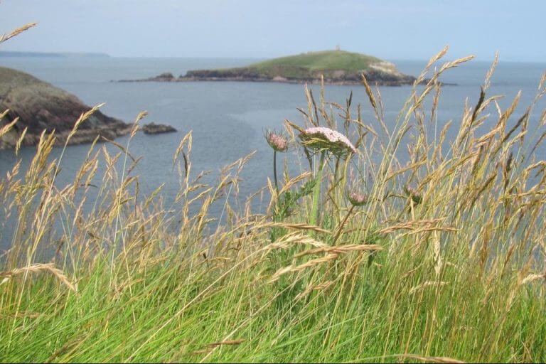 Are Beautiful People Going Extinct?