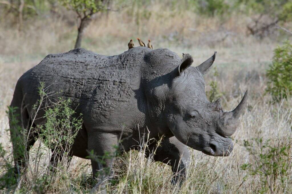 Incompatibility Shouldn't Be a Deal Breaker—Here's Why