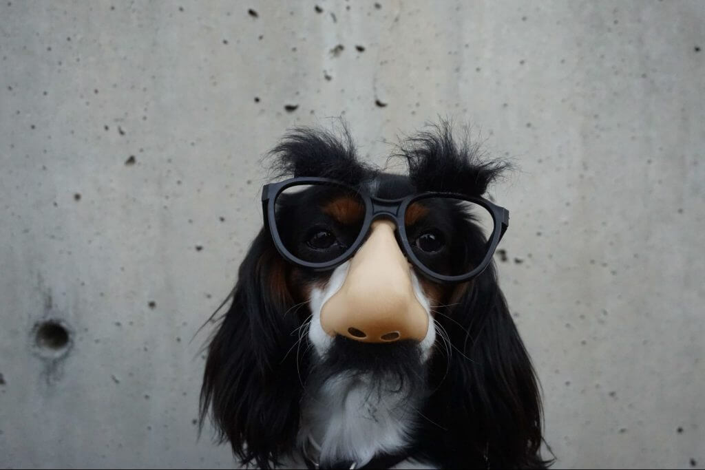 I Infiltrated the National Catholic Singles Conference in Dallas