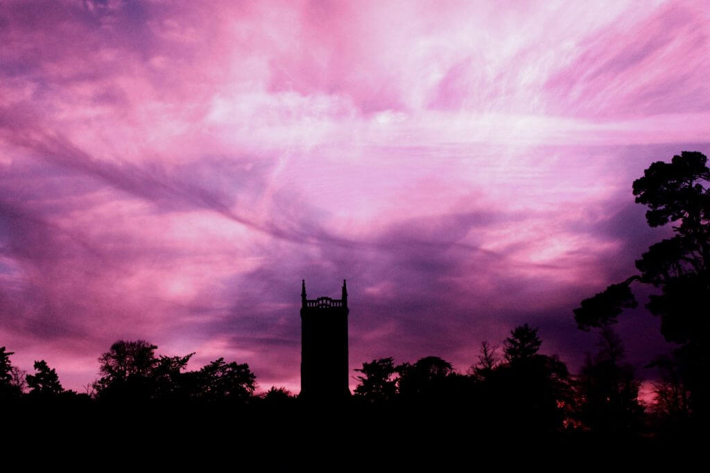 It's Gaudete Sunday—What Does That Mean?! (VIDEO)