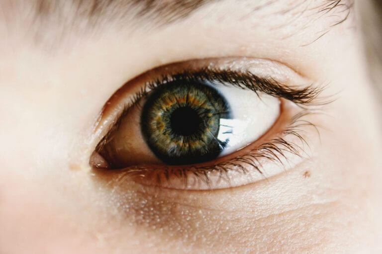 1st Sunday of Lent VIDEO: What Do Your Eyelashes Have To Do With Lent?