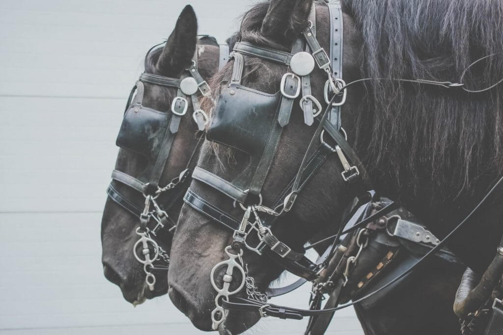 What Does it Mean to Be Equally Yoked?