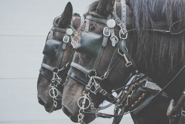 What Does it Mean to Be Equally Yoked?