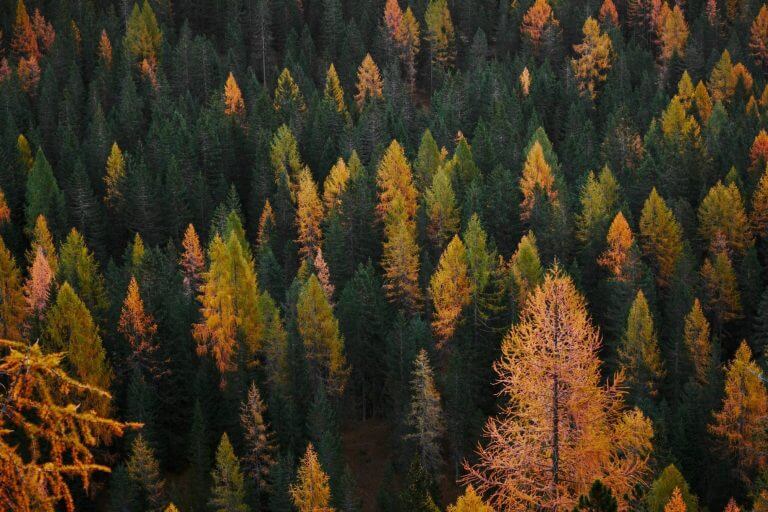 Nature's Glory Gives Me a Reason to Hope