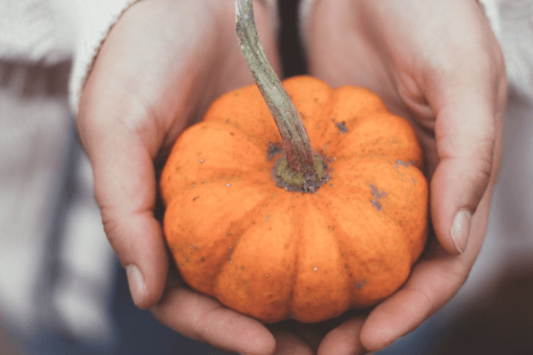 Giving Thanks for Each Season of Life