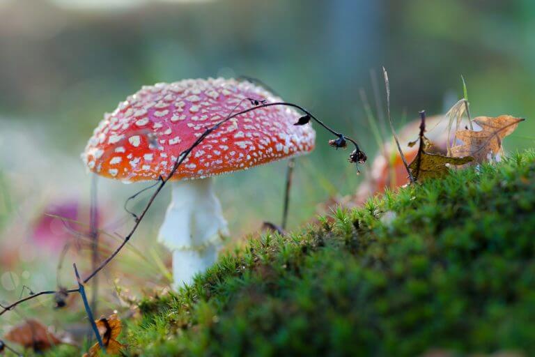 How To Identify A Toxic Relationship