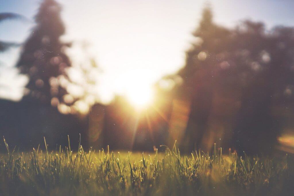 I Want to Be an Easter Catholic