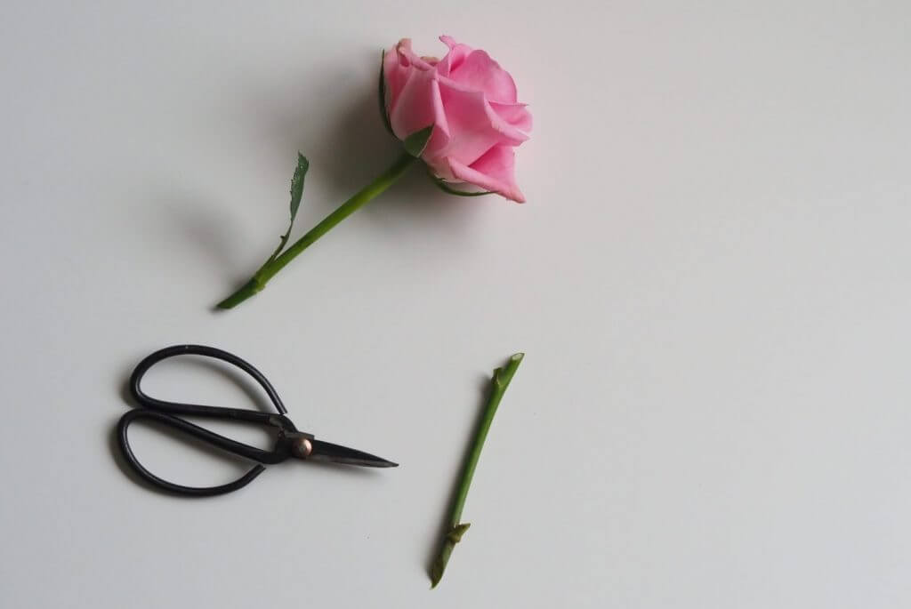 What's the ONE THING That Would Put You in the Dating Game?