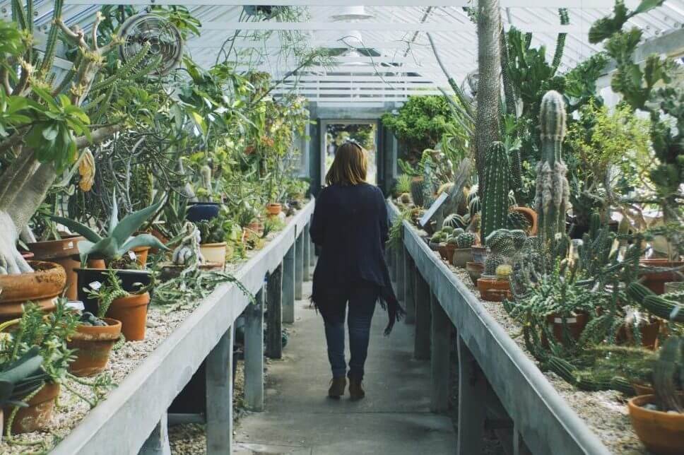 How to Date Better After Divorce