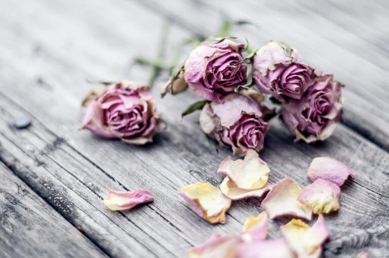 Doing Everything Right Doesn't Make a Marriage Fail-Proof