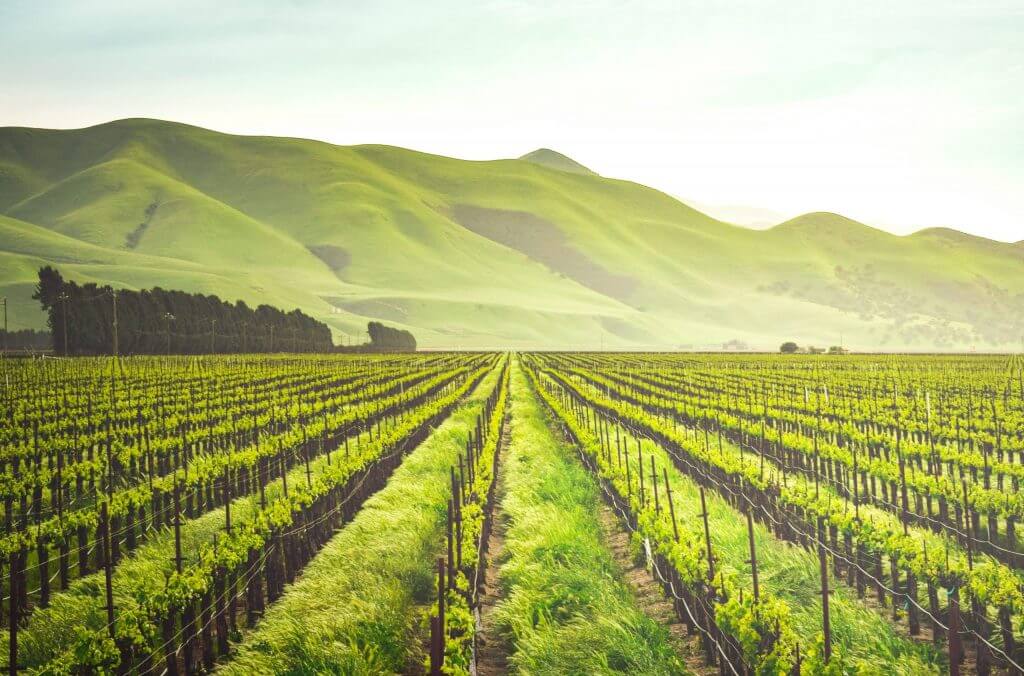 Serendipidating: When the Grass Is Always Greener