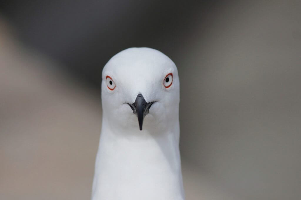 How Fierce Independence Can Cripple You