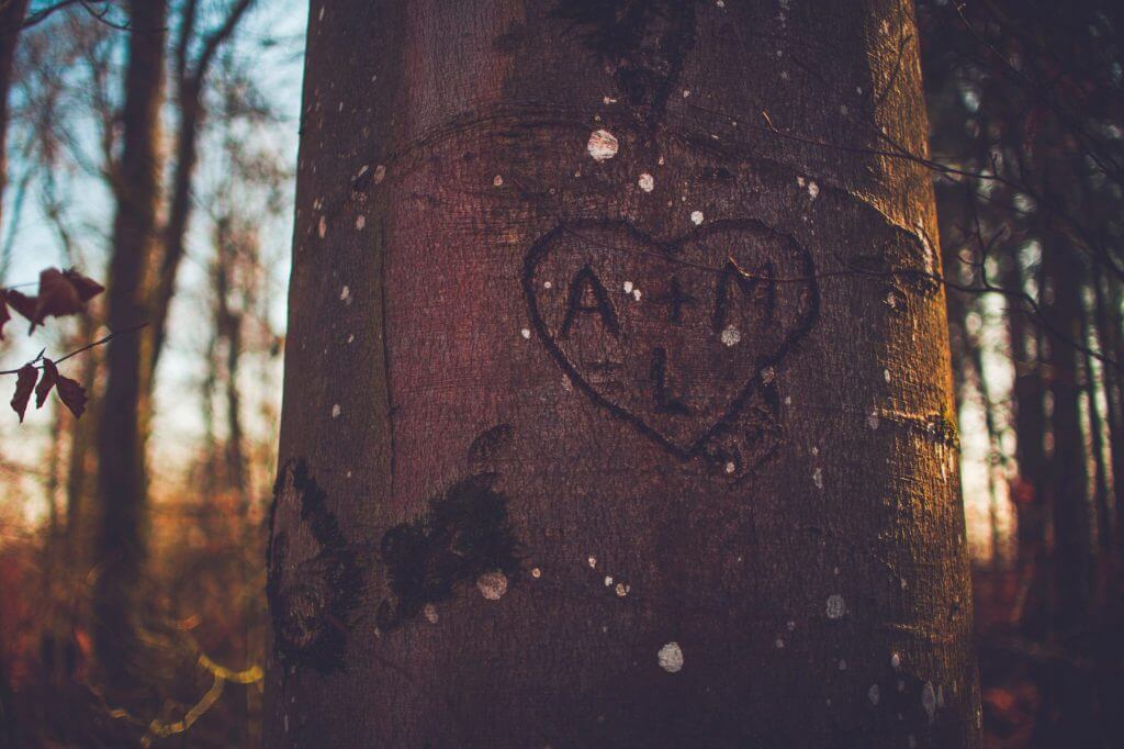 What's the Difference Between Love and Being in Love?