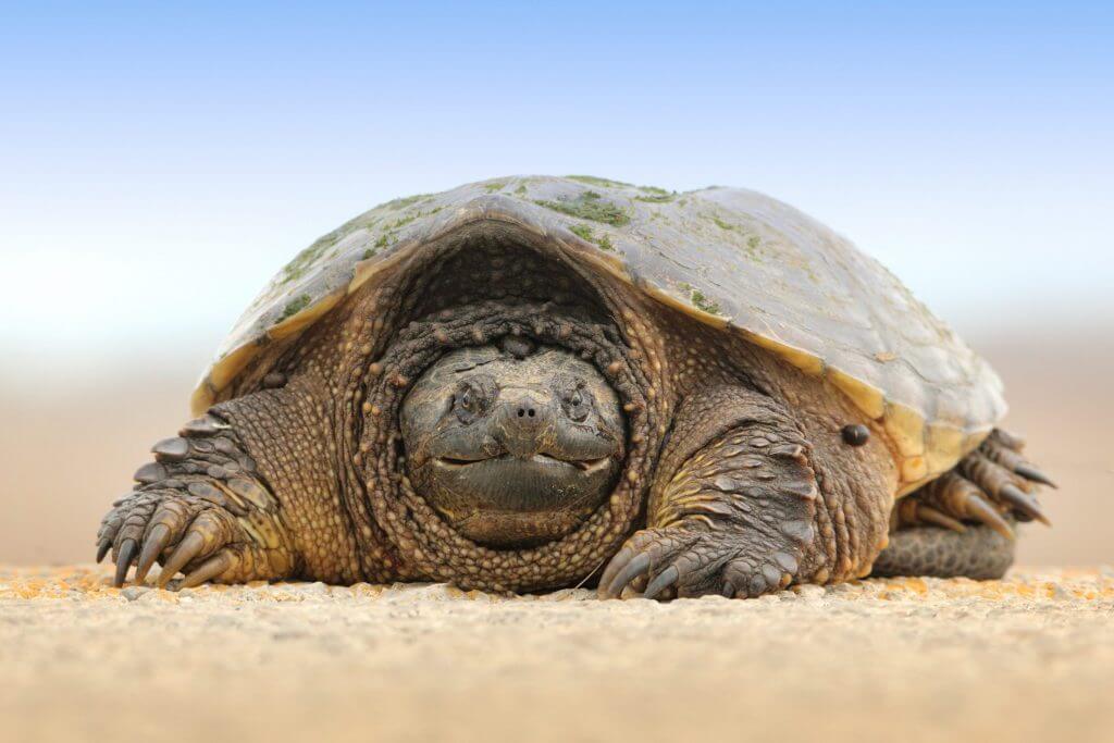 That Awkward Moment When You See Someone You Know on CatholicMatch