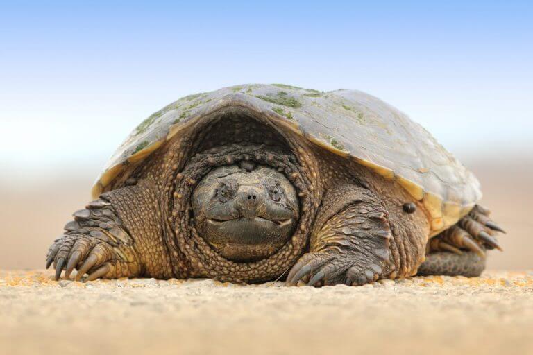 That Awkward Moment When You See Someone You Know on CatholicMatch