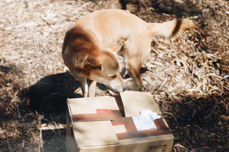 Date Better: Send a Care Package