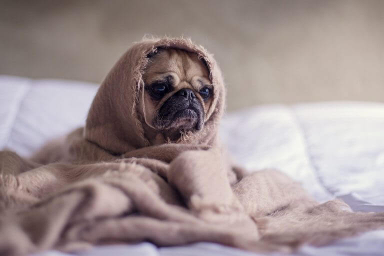 Life Isn't Fair—Wait, What?