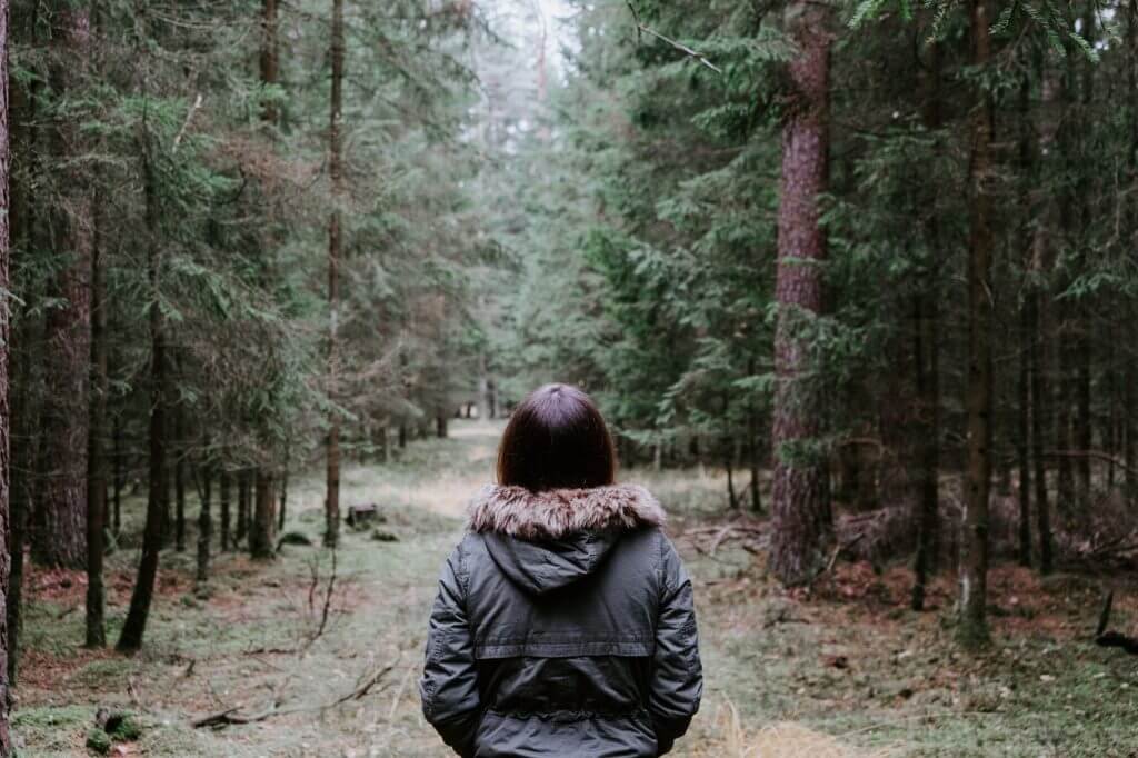 Have You Ever Felt Lost in the Wilderness?