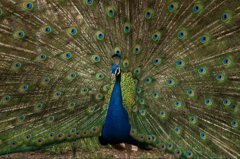 Warning! Don't Date Someone Like This. Just Pray (Hard) for Them