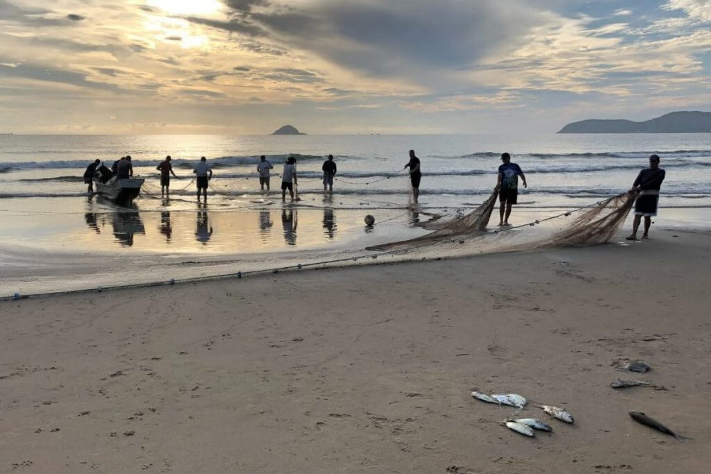 If Their Net Didn’t Tear, Yours Won’t Either