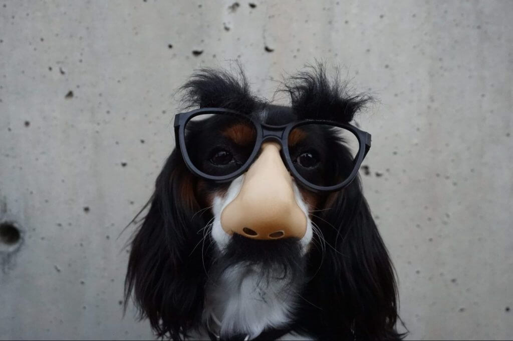 Has Social Distancing Made You Socially Awkward?