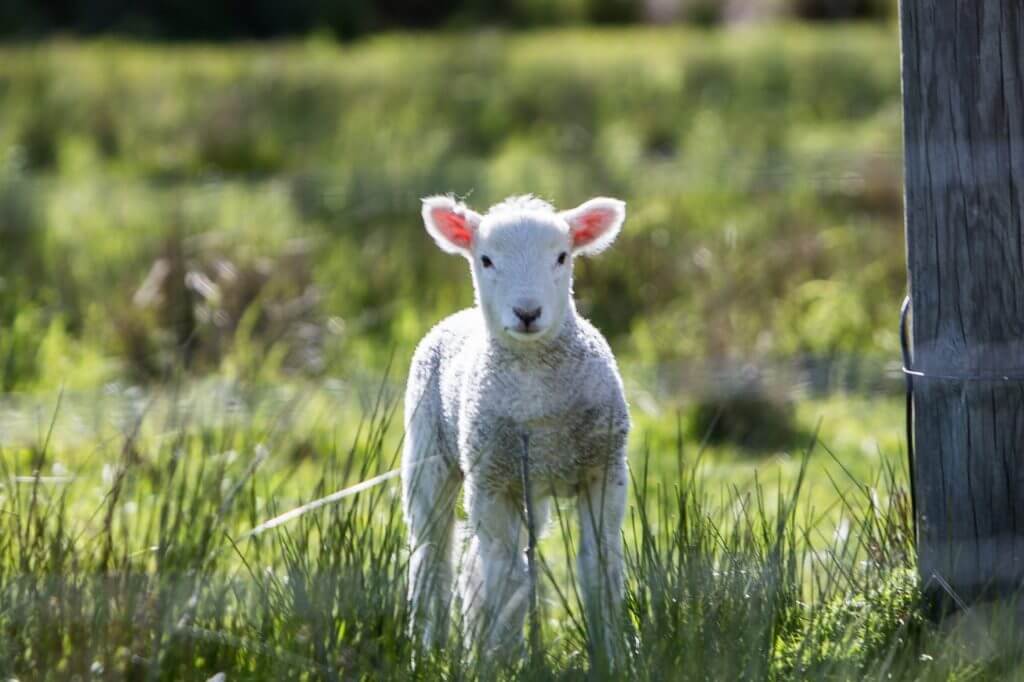 This Easter, Seek a Fresh Start