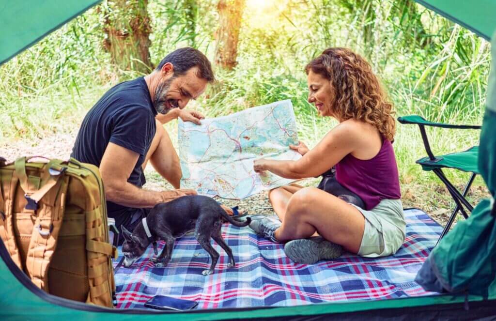 Long-Distance Dating To Marriage: The Surprises You Need To Know!